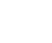 Evolution games at Black Spins Casino
